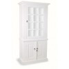 French Painted Glass Cabinet  antique white