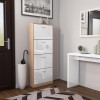 Torino 4 Door Shoe Storage Cabinet in High Gloss and Oak - 12 Pairs