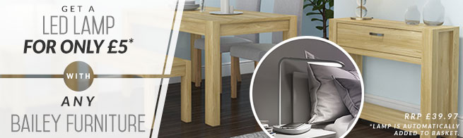 Bailey and LED Light Promotion