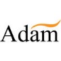 Cream and Black Stove Electric Fireplace Suite - Adam