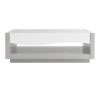 Grey &amp; White Gloss Coffee Table - Scaie