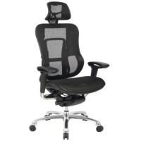 Eliza Tinsley Aztec Executive Office Chairs in Black
