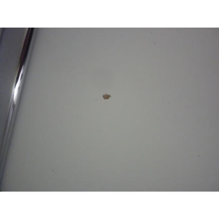 Clearance - Amelie White 2 Door 2 Drawer Wardrobe - Minor Cosmetic Damage