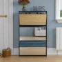 Slim Black Shoe Cabinet 3 Mirrored Doors - Walham