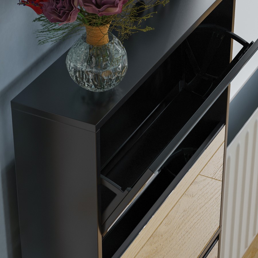 Slim Black Shoe Cabinet 4 Mirrored Doors - Walham