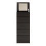 Parisot Home Tall 5 Drawer Chest in Wenge