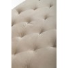 Mink Brushed Velvet Chaise Lounge - Tufted Detailing
