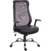 Teknik Office Curve Mesh Office Chair in Black