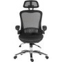 Black Mesh High Back Ergonomic Office Chair - Teknik Office