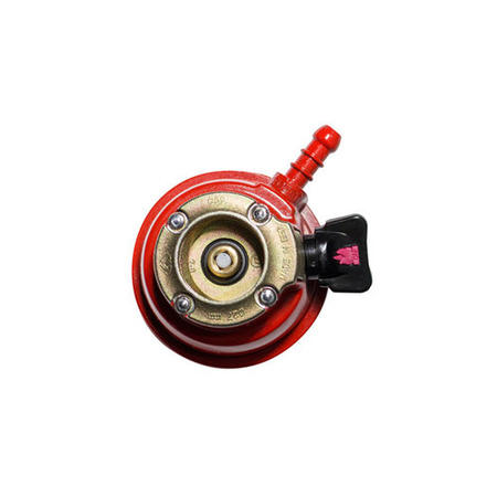 Campingaz BBQ Hose and Regulator kit