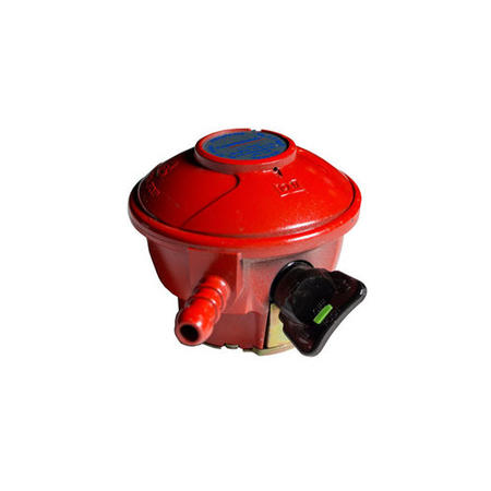 Campingaz BBQ Hose and Regulator kit