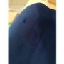 GRADE A2 - Set of 2 Navy Blue Velvet Dining Chairs with Black Legs - Jenna