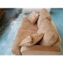GRADE A2 - Payton Beige Velvet 2 Seater Sofa