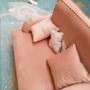 GRADE A2 - Velvet Loveseat in Blush Pink - Payton