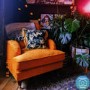 GRADE A2 - Opulence Orange Velvet Armchair - Payton
