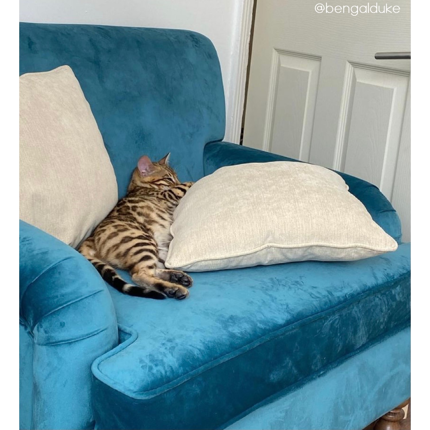 Teal Blue Velvet Loveseat Payton Furniture123