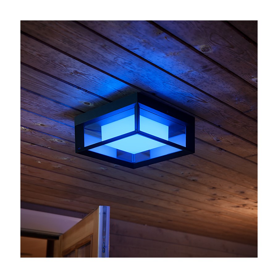 Philips Hue Econic Outdoor Wall Light Black