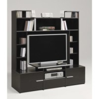 Parisot Forum TV Wall Unit in Wenge