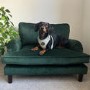 ALMOST PERFECT - Pet Sofa Bed in Green Velvet - Suitable for Dogs & Cats -Payton