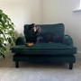 ALMOST PERFECT - Pet Sofa Bed in Green Velvet - Suitable for Dogs & Cats -Payton