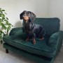 ALMOST PERFECT - Pet Sofa Bed in Green Velvet - Suitable for Dogs & Cats -Payton