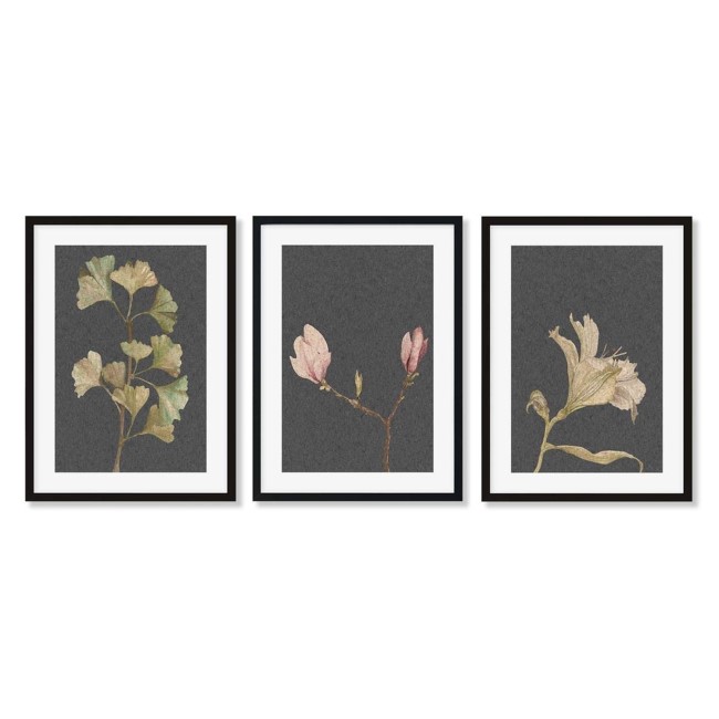 Vintage Botanical Leaves Set of 3 Wood Framed Prints - Abstract House