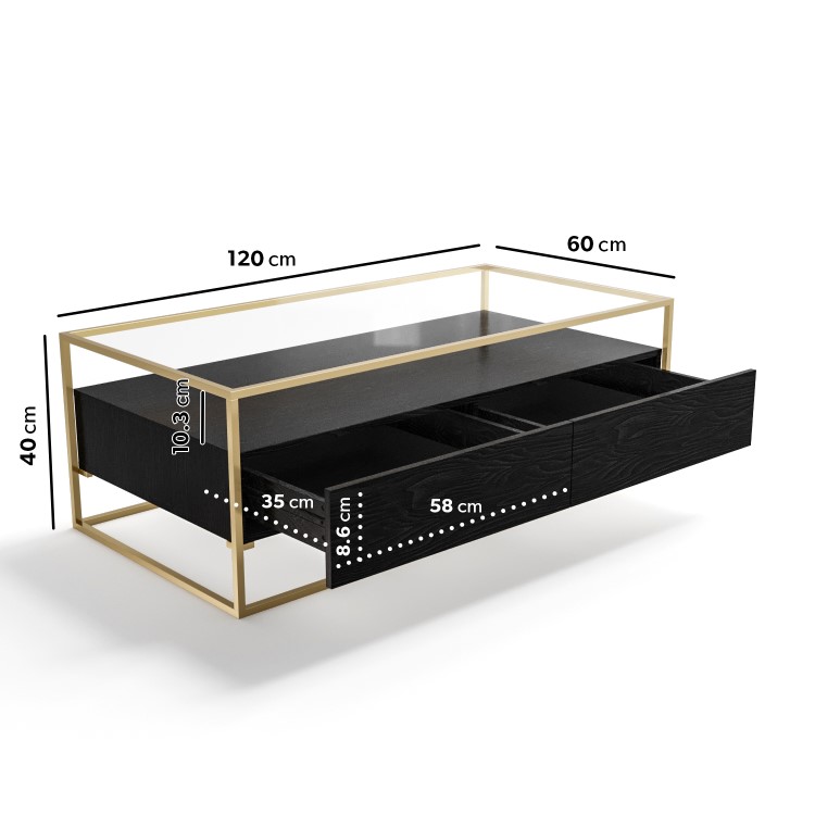 Rectangular Black and Gold Glass Top Coffee Table with Storage - Akila