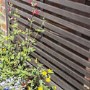 Alderley Grey Wooden Planter Box with Trellis - Rowlinson 