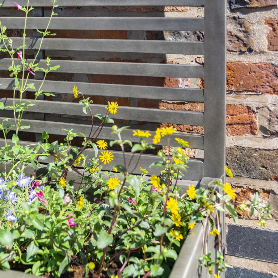 Alderley Grey Wooden Planter Box with Trellis - Rowlinson 