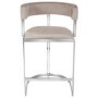 ONLY OPENED - Mink Velvet Cantilever Kitchen Stool with Back - 66cm - Alana Boutique