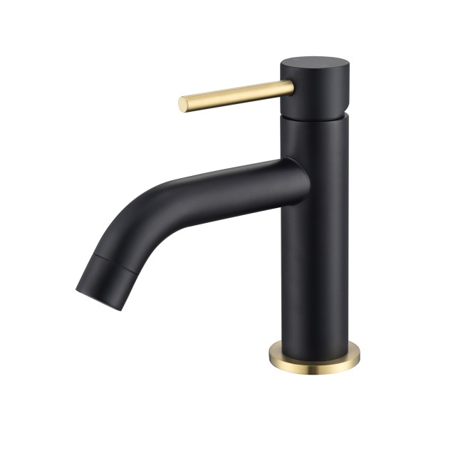 Black & Brass Cloakroom Mono Basin Mixer Tap - Arissa