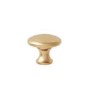 Brushed Brass Round Handle - Baxenden