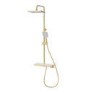 Brushed Brass Thermostatic Mixer Shower Set with Push Button & Shelf - Mika