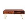 Dark Wood & Gold Coffee Table - Bengal