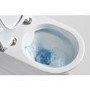Wall Hung Rimless Toilet with Soft Close Slim Seat Frame Cistern and Black Flush - Valencia