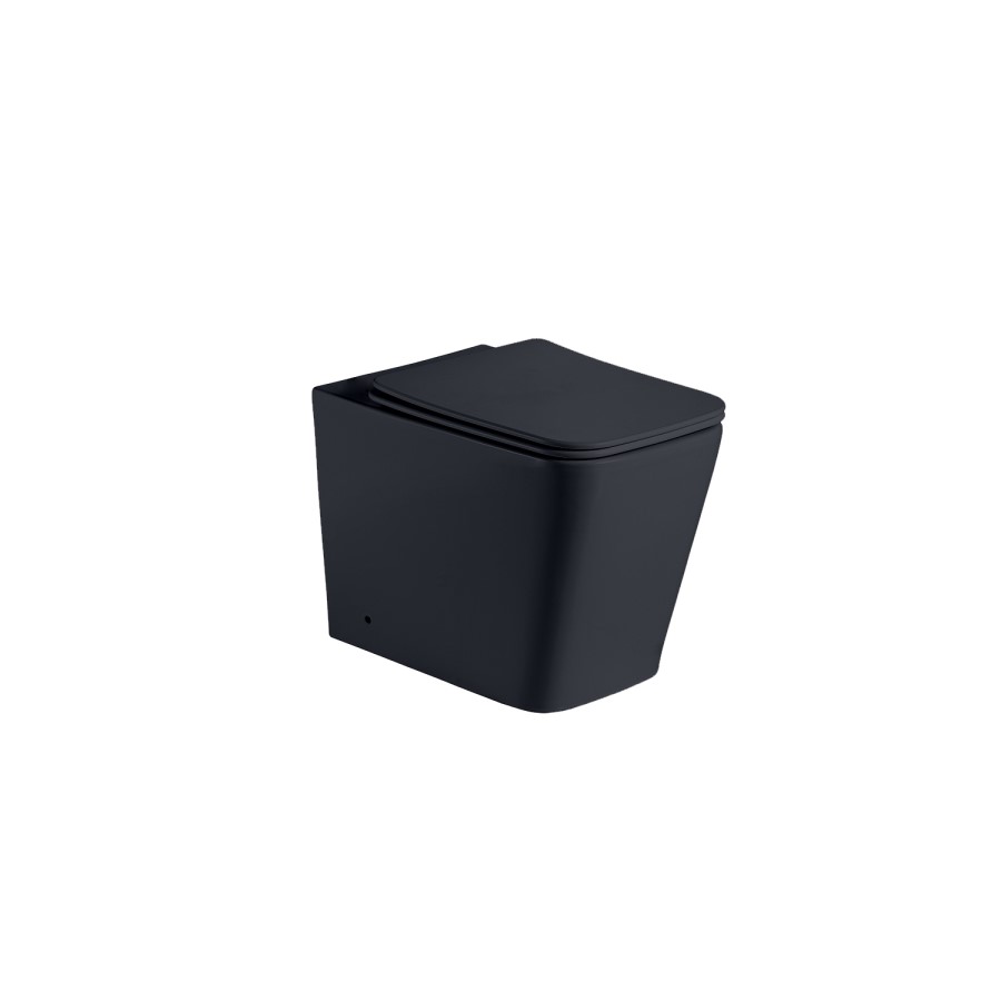 Matt Black Back to Wall Rimless Toilet with Soft Close Seat - Albi