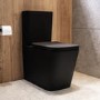 Matt Black Close Coupled Rimless Toilet with Soft Close Seat - Albi