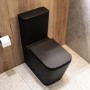 Matt Black Close Coupled Rimless Toilet with Soft Close Seat - Albi