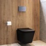Matt Black Wall Hung Toilet with Soft Close Seat, Chrome Mechanical Flush Plate, 1160mm Frame & Cistern - Albi
