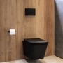 Matt Black Wall Hung Toilet with Soft Close Seat, Black Mechanical Flush Plate, 1160mm Frame & Cistern - Albi
