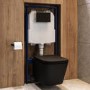 Matt Black Wall Hung Toilet with Soft Close Seat, Black Mechanical Flush Plate, 1160mm Frame & Cistern - Albi