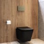 Matt Black Wall Hung Toilet with Soft Close Seat, Brass Mechanical Flush Plate, 1160mm Frame & Cistern - Albi