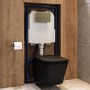 Matt Black Wall Hung Toilet with Soft Close Seat, Brass Mechanical Flush Plate, 1160mm Frame & Cistern - Albi
