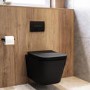 Matt Black Wall Hung Toilet With Soft Close Seat, Black Pnuematic Flush Plate, 820mm Frame & Cistern - Albi