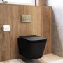 Matt Black Wall Hung Toilet with Soft Close Seat, Brass Pnuematic Flush Plate, 820mm Frame & Cistern - Albi