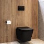 Matt Black Wall Hung Toilet with Soft Close Seat, Black Pnuematic Flush Plate, 1160mm Frame & Cistern - Albi