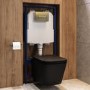 Matt Black Wall Hung Toilet with Soft Close Seat, Brass Pnuematic Flush Plate, 1160mm Frame & Cistern - Albi