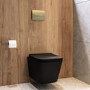 Matt Black Wall Hung Toilet with Soft Close Seat, Brass Pnuematic Flush Plate, 1160mm Frame & Cistern - Albi