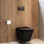 Matt Black Wall Hung Toilet with Soft Close Seat, Gunmetal Pnuematic Flush Plate, 1160mm Frame & Cistern - Albi