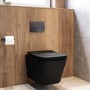 Matt Black Wall Hung Toilet with Soft Close Seat, Gunmetal Pnuematic Flush Plate, 820mm Frame & Cistern - Albi